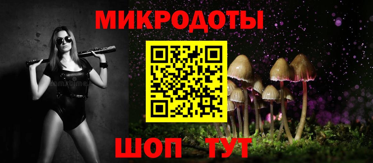 Псилоцибиновые грибы Cubensis Рубцовск